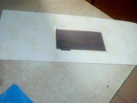 康明斯东亚区2007年会与会代表合影(彩色照片1张)38*15CM,只走快递