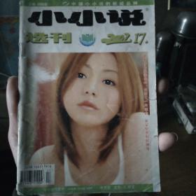 小小说选刊（17期）