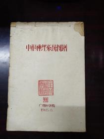 中枢神经系统图谱(油印本)