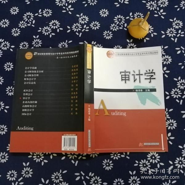 审计学/21世纪财务管理与会计学专业本科系列精品教材