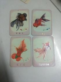 紫高头  五花高头  红水泡  红白花珍珠麟【 1978年老年历卡  金鱼 4张合售】