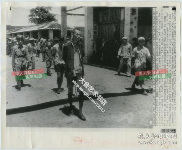 1953年广东广州土地改革运动中被捆绑押送，即将被处决的地主照片，美联社新闻传真照片一张