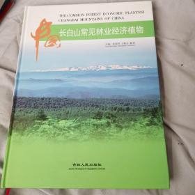 中国长白山常见林业经济植物