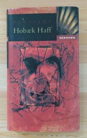 挪威语原版书 Bergljot Hobæk Haff: Skammen