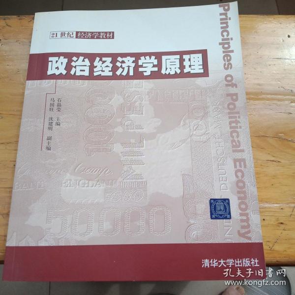 21世纪经济学教材：政治经济学原理