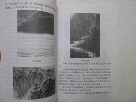 《怎样画中国画》，全图文本，2001年首版一印，作者江宏先生为上海中国画院画师、上海书画院执行院长，内页有中国画及画法图例(见图)。全新库存，非馆藏，板硬从未阅，全新全品。上海书画出版社2001年12月一版一印