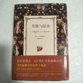 天使与昆虫