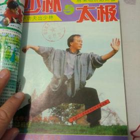 少林与太极1993全年