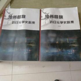 沧州回族抗日斗争史料集 上下册