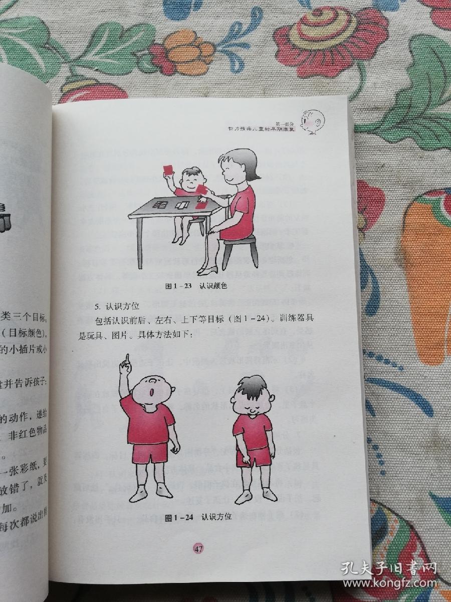 残疾预防与康复：特殊儿童早期康复指南