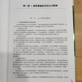 现代肿瘤基因治疗实验研究方略