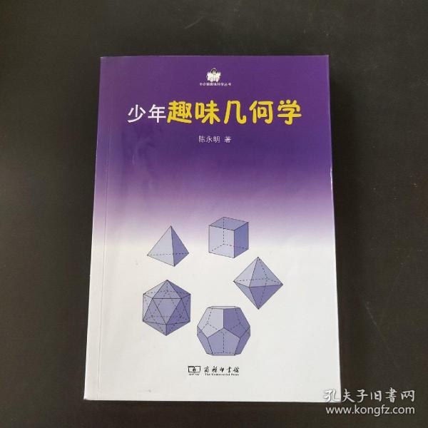 小企鹅趣味科学丛书：少年趣味几何学