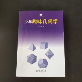 小企鹅趣味科学丛书：少年趣味几何学