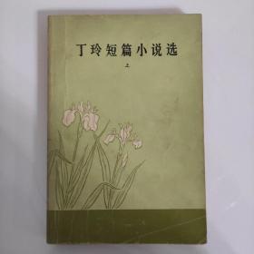 丁玲短篇小说集（上，下）