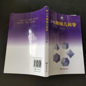 小企鹅趣味科学丛书：少年趣味几何学