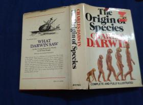 THE ORIGIN OF SPECIES CHARLES DARWIN  物种起源查尔斯·达尔文