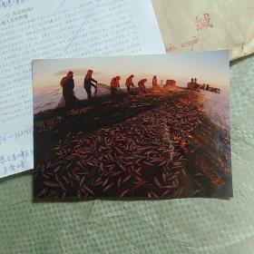 中国摄影家协会会员王爱峰寄给出版社参赛照片两张