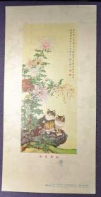 秋菊双猫  重庆市人民出版社 1954年