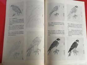 怎样画鹰 中国画自学丛书 贾宝珉（画鹰技法步骤 工笔勾染画法  白鹰画法 大写意画鹰技法 小写意画鹰技法 苍鹰画法 兀鹫画法等）