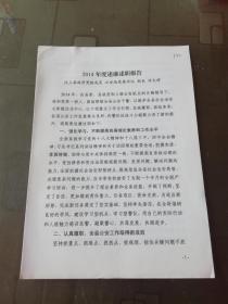 文史资料：2014年度述廉述职报告 —— 汶上县政府党组成员.公安局党委书记 许文祥