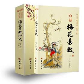 白话梅花易数+梅花易数讲义增广校正白话绘图本 图解梅花易数轻松学习梅花易数