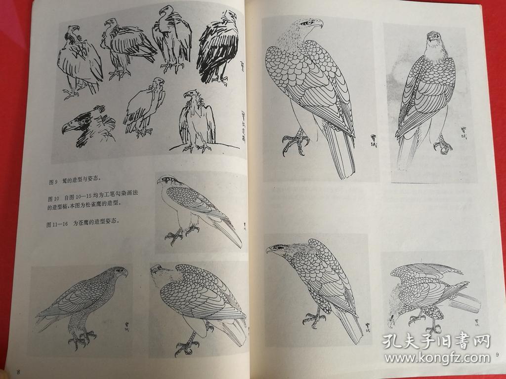 怎样画鹰 中国画自学丛书 贾宝珉（画鹰技法步骤 工笔勾染画法  白鹰画法 大写意画鹰技法 小写意画鹰技法 苍鹰画法 兀鹫画法等）
