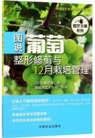 葡萄种植技术书籍 图说葡萄整形修剪与12月栽培管理/园艺大师系列