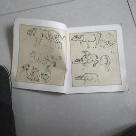 刘继卣动物画手稿