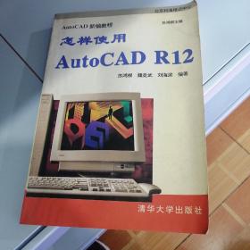 怎样使用AutoCAD R12