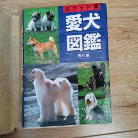 愛犬図鑑