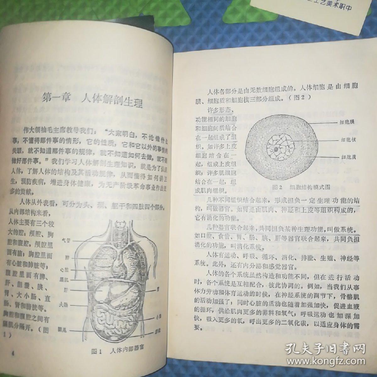 广东省中学试用课本--生理卫生（初中二年级第二学期用）