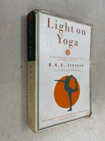 Light on Yoga：Yoga Dipika（瑜伽之光：瑜伽双刃剑）