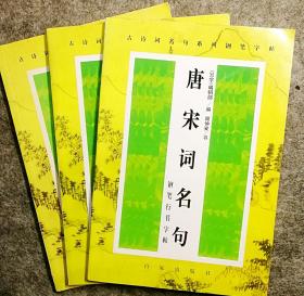 稀缺珍本：《唐宋词名句钢笔行书字帖》书法名家顾仲安2005年力作  范字极精美引人入胜 品好