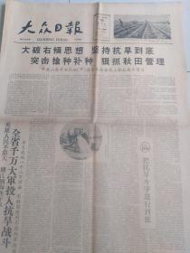 大众日报1959年8月15