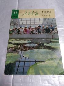人民画报1981.11(完整不缺页)
