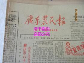 广东农民报——南方日报农村版<1986年7至12月第1417至1429期、1445至1495期>老报纸