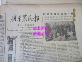 广东农民报——南方日报农村版<1986年7至12月第1417至1429期、1445至1495期>老报纸