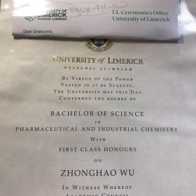 UNIVERSITY  OF  LIMERICK  毕业证书一分  25*37cm