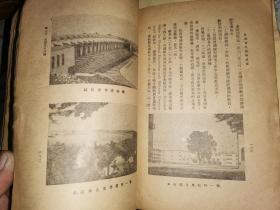 各国青年训练述要    【罗廷光著作 商务印书馆民国29年初版本】       德国、意大利法西斯青年团体等大量图片（补图）