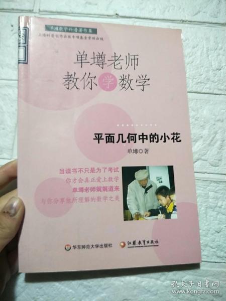 单壿老师教你学数学：平面几何中的小花