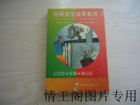 图解微型盆景栽培 · 2：山红叶 · 杜鹃 · 映山红（1999年一版一印）