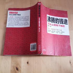 沸腾的钱途 云南人民出版社