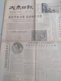 大众日报1961年8月13