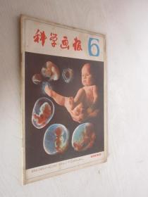 科学画报     1982年第6期