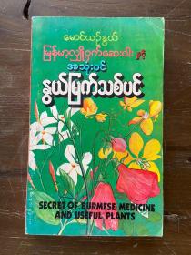 神秘的缅药和药用植物【缅甸语】