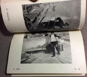 中国画 油画图录 一九七四年全国美术作品展览