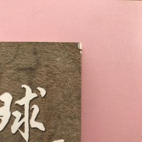 足球无疆：20年目睹中国足球之怪现状   【实物拍照】