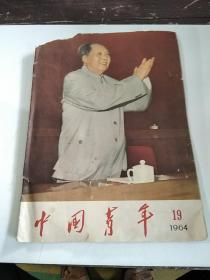 中国青年1964年19