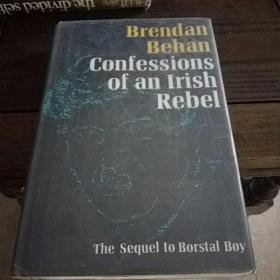 Confessions of an Irish rebel