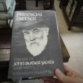 Prodigal father : the life of John butler yeats (1839-1922)